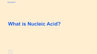 What is Nucleic Acid [upl. by Lundell]