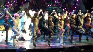 Mr Mistoffelees  CATS The Musical  Oasis of the Seas  2016  Matt Landel [upl. by Nanfa]