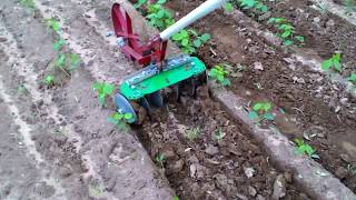 Easy Make Inter cultivator for vegetable and weed control [upl. by Blinnie]