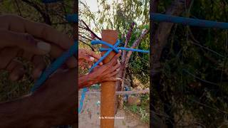 Simple Clove Hitch Knot [upl. by Eahsel]