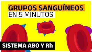 GRUPOS SANGUÍNEOS Sistema ABO y Factor Rh  EN 5 MINUTOS [upl. by Senga682]