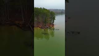 4K Drone Lake Hartwell State Park  South Carolina [upl. by Namus]