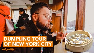 Best DUMPLINGS in New York plus history of this iconic Chinese food [upl. by Yrrag354]