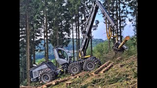 🌲 POWERful  Fin with sound • Logset 10H • Harvester in action • Forstbetrieb Weber • Logging 🌲 [upl. by Buonomo]