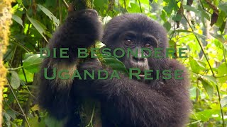 Auf den Spuren der SWR Uganda Doku quotElstners Reisen Die Retter der Gorillasquot [upl. by Hgieloj]