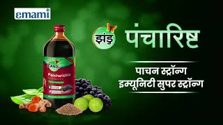 Zandu Pancharishta Ayurvedic digestive tonic [upl. by Llennehc]