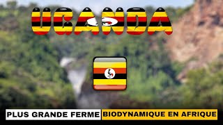 Ouganda Découvrez l’une des plus grandes fermes biodynamiques d’Afrique [upl. by Aneeuqal535]