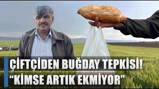 Çiftçi Buğday Fiyatlarına Tepkili 1 Kilo Buğday 1 Ekmek Etmiyor  AGRO TV HABER [upl. by Chap]