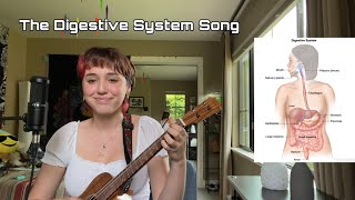 The Digestive System Song [upl. by Aivatnwahs]