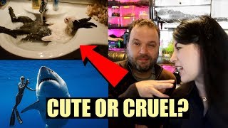 PET YouTuber Reacts To Viral Animal Videos  EMZOTIC [upl. by Jobie172]