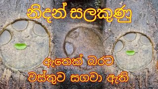 නිදන් සලකුණු  07 ඇත් අඩිය sri lanaka Treasures Marks [upl. by Pacificia]