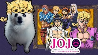 JOJO GOLDEN WIND em CACHORRÊS [upl. by Suirrad]