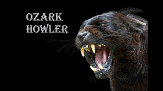 Ozark Howler Conspiracy involving 2 Presidents ozarkhowler [upl. by Danni]