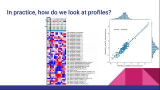 The beginners guide to morphological profiling Morphological profiling part 1 [upl. by Alton782]