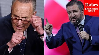 He Doesnt Want To Fix This Ted Cruz Laces Into Schumer Slams Border Bill [upl. by Nyladnarb]