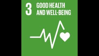 SDG 3 Good Health and Wellbeing 2024 [upl. by Romine906]