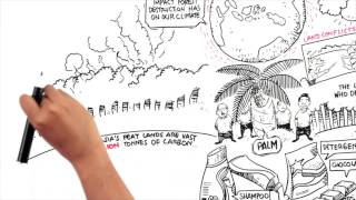 Protect Paradise An Animation about Palm Oil [upl. by Charmane46]