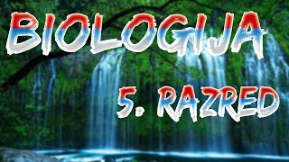 Skola  Biologija 5 Razred  Mahovine [upl. by Puglia647]