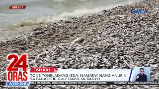 Tonetoneladang isda namatay nang anurin sa Pagasetic Gulf dahil sa bagyo  24 Oras Weekend [upl. by Onairda]