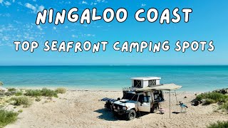 Discover Seafront Camping Gems on the Ningaloo Coast [upl. by Felicidad313]