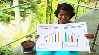 Maths project on Ascending and Descending order Grade1  School project  Learning education video [upl. by Terpstra]