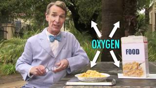 Why Does Exercise Make You TiredConsider the Following With Bill Nye [upl. by Nadaha]