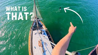 Restoring our sailboats RIGGING Backstay fix amp Mast varnish with FPV Footage — Sailing Yabá 214 [upl. by Kandy]