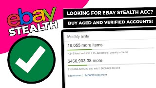 We Buy amp Sell Established eBay Businesses amp Accounts For Sale [upl. by Naujad]