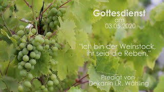 Gottesdienst am 03052020 I quotIch bin der Weinstockquot I Predigt von Dekanin iR Wähling [upl. by Nairrot870]