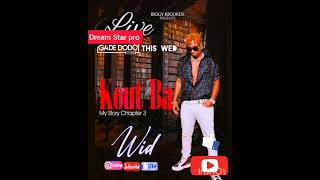 WID  KOUT BA  officiel audio [upl. by Radie]