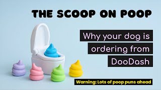 The Scoop on Poop Why Dogs Eat Poop Coprophagia [upl. by Luoar]