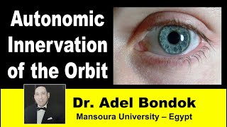 Autonomic Innervation of the Orbit Dr Adel Bondok [upl. by Aneela37]