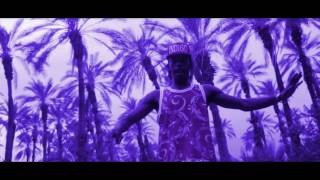 Flatbush Zombies  Palm Trees Slowed amp Screwed [upl. by Gardner]