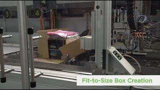 CVP Automated Packaging Solution [upl. by Britni]