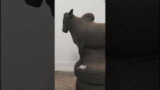 Kolkata museum  Indian Museum  Vlog [upl. by Seidel144]