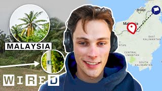 Every Trick a Pro GeoGuessr Player Uses to Win ft RAINBOLT  WIRED [upl. by Nylorak547]