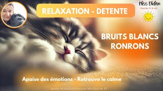 😻Retrouve la paix intérieure et apaise des émotions avec les ronrons de chat 🐈Bruits blancs ronrons [upl. by Aivalf]