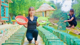 Bagua trap The girl sets a bagua trap to harvest shrimp and fish for food Unexpected results [upl. by Leal]