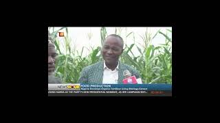 AIT NEWS ON THE PRESS CONFERENCE FOR PRODUCTION AND DISTRIBUTION OF EMORINGA ORGANIC FERTILIZER [upl. by Almond]