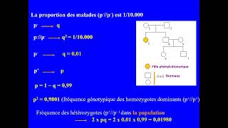 Exercice de génétique humaine et des populations Hérédité autosomique récessive Bacconcours [upl. by Ahsiele575]
