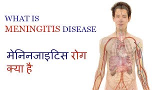 WHAT IS MENINGITIS DISEASE  क्या है मेनिनजाइटिस रोग Video 8 by Ayurveda amp Health [upl. by Arda64]