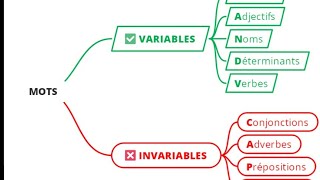 Les mots variables et invariables [upl. by Maryjane]