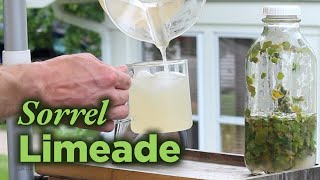 How to Forage Wood Sorrel to Make Sorrelade 🍋‍🟩 [upl. by Alil762]