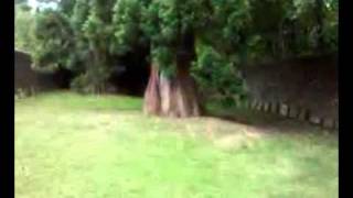 Quaker Burial Ground  Coalbrookdale Shropshire [upl. by Tadashi756]