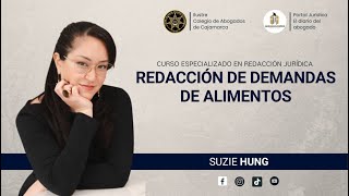 REDACCIÓN DE DEMANDAS DE ALIMENTOS  SUZIE HUNG [upl. by Ardien]