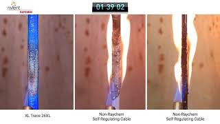 RAYCHEM XLTrace Flammability Test [upl. by Marya]