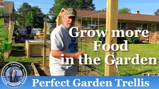 How to Build a Strong Garden Trellis Vertical Gardening [upl. by Eronel397]