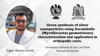 Green synthesis of silver nanoparticles using Garambullo characterization and application [upl. by Atiluap]