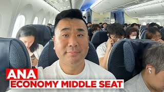 My ANA Flights  Economy Middle Seat to Widest Business Suite [upl. by Dniren423]