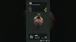 My first 💎 Tahr Super close shot thehuntercallofthewild cotw [upl. by Casilda]